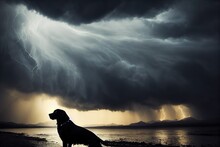 Ornate Portrait Of A Majestic Black Labrador Dog , Beautiful Storm Scene