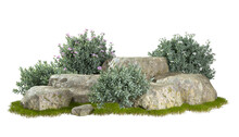 Cut Out Gardening Shrub Plants Position With Steps Rock 3d Rendering Illustration Background Png File