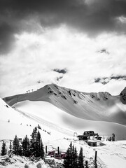 Canvas Print - Grey scale of a snowy mountain with trees around.