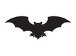 Vector illustration of bat.