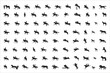 88 vector silhouettes on the theme of horse, equestrian, show jumping, dressage, racing, stud farm