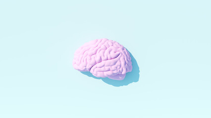 Wall Mural - Pale Pink Human Brain Anatomy Neurology Mind Intelligence Think Medical Symbol Blue Background 3d illustration render