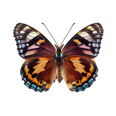 Beautiful blue butterfly isolated on a transparent background. Generative AI Illustration