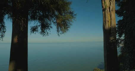 Wall Mural - Batumi, Adjara Georgia. Amazing Summer View From Botanical Garden Of Sea Bay And Coast. Bright Lush Green Vegetation. Autumn Sunny Day.