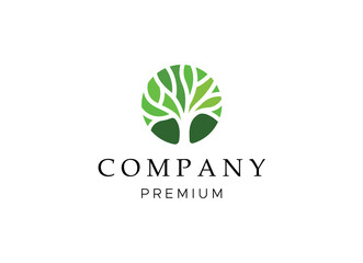 Tree vector icon. Nature trees vector illustration logo design.