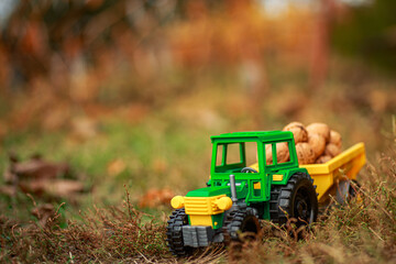 Wall Mural - Green tractor carries nuts in the back. Toy tractor with a crop of ripe walnuts. Autumn photophone.