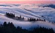 © Tandem Stock - Beautiful flowing fog on Mt. Tamalpais, California.