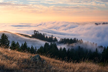 Beautiful Flowing Fog With Clouds Above, On Mt. Tamalpais, California. 