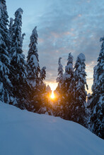 An Orange Disk Of The Setting Sun Breaks Through The Snow-covered Trees Of A Winter Forest