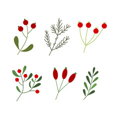 Aufkleber - Set of winter leaf and berries illustration for design element. Vintage floral hand drawn ornament for Christmas design