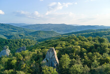 Aerial View Of Bright Landscape With Green Forest Trees And Big Rocky Boulders Between Dense Woods In Summer. Beautiful Scenery Of Wild Woodland