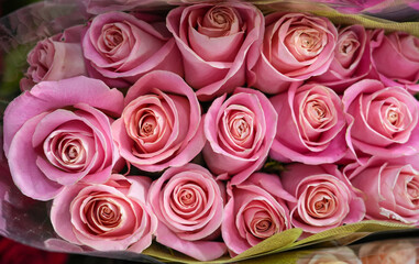 Fotomurales - pink roses in a bouquet as background