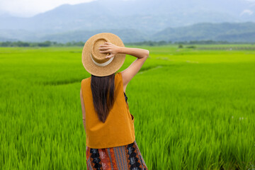 Sticker - Young girl walking in rice field in Yuli of Taiwan