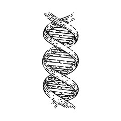 Canvas Print - dna science hand drawn vector. genetic helix gene, biotechnology molecule, medical structure dna science sketch. isolated black illustration