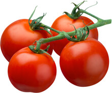 Red Tomatoes On The Vine