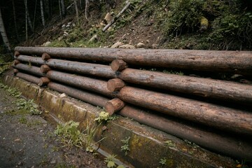 Wall Mural - Wooden retaining wall to prevent soil from falling in the national park. A natural retaining wall made of wood logs.;