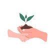 © Юлия Рубан - A hand holds a small tree for planting. The adult's and child's palms hold the soil. World Soil Day. Vector Illustration isolated on the white background