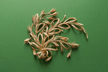 The Branch With Leaves Is Made Of Straw. Straw Wall Decoration. The Products Are Made Of Straw. Decoration Of Straw On An Green Background