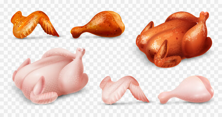 Poster - Realistic Chicken Set