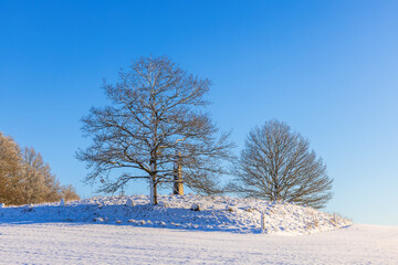 Wall Mural - Gestilren memorial stone in a wintry landscape