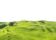Panoramic landscape with green grass hill isolated on white background