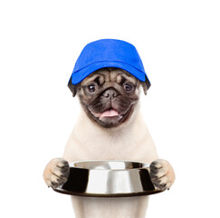 Leinwandbilder - Hungry Pug puppy wearing blue cap holds empty bowl. isolated on white background