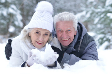 Wall Mural - Nicel elderly couple rejoice together in winter