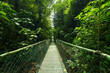© ADDICTIVE STOCK - Suspension bridge in green jungle