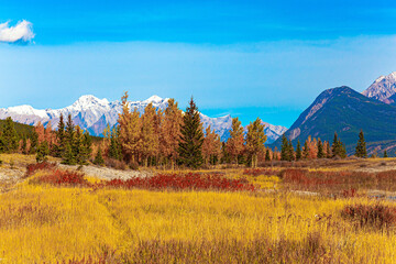 Poster - Rocky Mountains