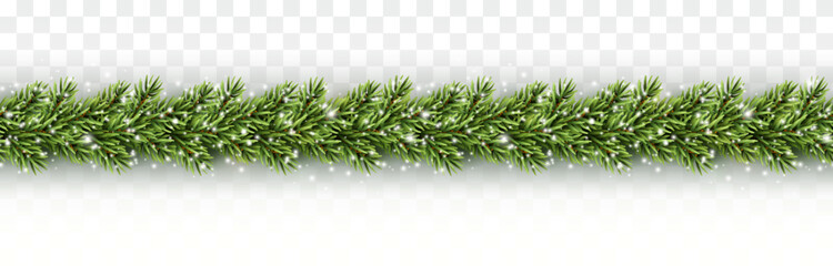 Border with green fir branches, snowflakes isolated on transparent background. Pine, xmas evergreen plants banner. Vector Christmas tree snow garland decoration template