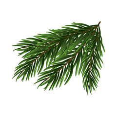 Sticker - Christmas Tree Branch