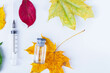 © Verrone - Autumn vaccination of population. Syringe in autumn leaves. Vaccination in autumn. New vaccine.