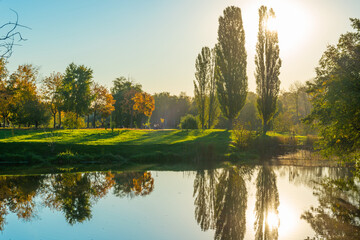 Wall Mural - Lake sunset with green grass trees and sunset sun with reflection in water