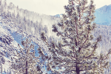 Wall Mural - Winter mountains