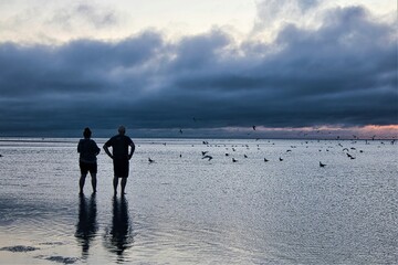 Silhouetted couple standing on a Cape Cod Bay beach at sunset during low tide watching the birds and darkening clouds on the horizon.