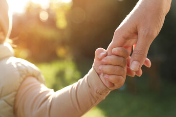 Wall Mural - Daughter holding mother's hand outdoors, closeup view