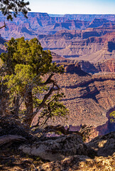 Wall Mural - Grand Canyon Arizona South Rim near Mather Point