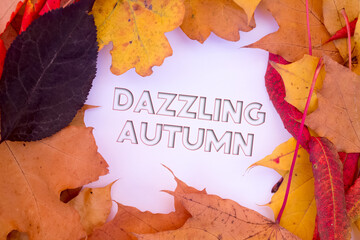 Poster - Dazzling Autumn leaves, objects with Autumn text. Natural patterns, color design.