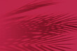 © detry26 - Viva magenta color of the year 2023. Palm leaves and their shadow on an background. Summer concept.