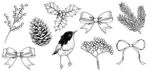 Christmas hand drawn elements set for xmas design. Collection with holly berries, corn, bird, winter botanical, ribbon and bow. Vintage line art set.  Happy new year vector illustration.