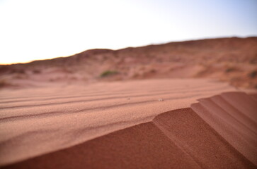  dune crest in namib dry pan of Sossusvlei Namib Naukluft National Park