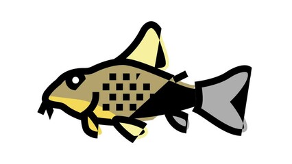Sticker - cory catfish color icon animation