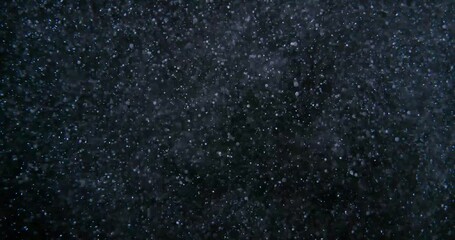 Wall Mural - Futuristic dust particles on black screen overlay. Filmed with RED camera in slow motion. Abstract shapes background. High quality 4k footage