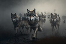 Pack Of Grey Wolves, Predator In The Night, Wild Hunter