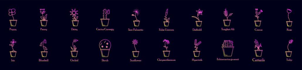 Poster - Flower nolan icons collection vector illustration design