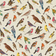 Birds. Seamless pattern. Vector vintage illustration.