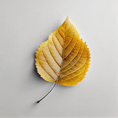 Wall Mural - yellow autumn leaf