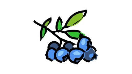 Canvas Print - blueberry plant color icon animation