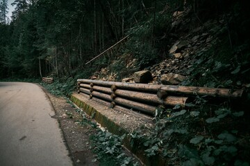 Wall Mural - Wooden retaining wall to prevent soil from falling in the national park. A natural retaining wall made of wood logs.;