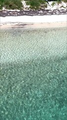 Wall Mural - Handheld vertical video shot of clear waters with white sand in the beach